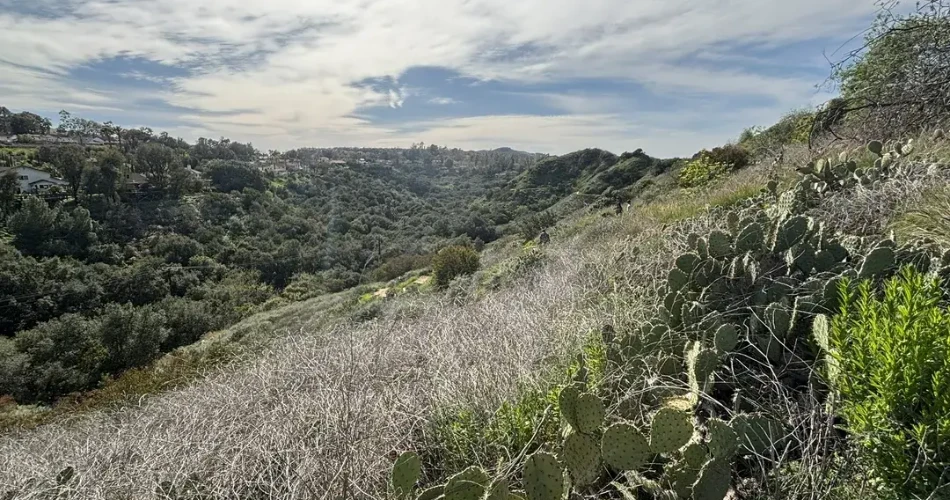 Las 10 mejores rutas de senderismo en Anaheim