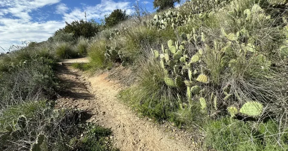 Las 10 mejores rutas de senderismo en Anaheim